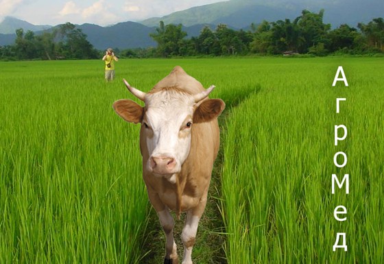 Логотипы: АгроМед